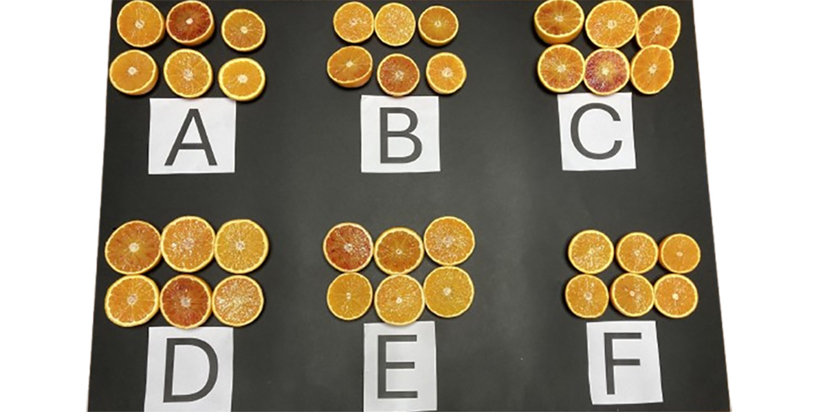 Arance rosse? Quasi, anzi no